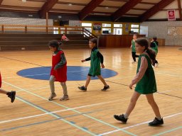Stage Printemps 2026